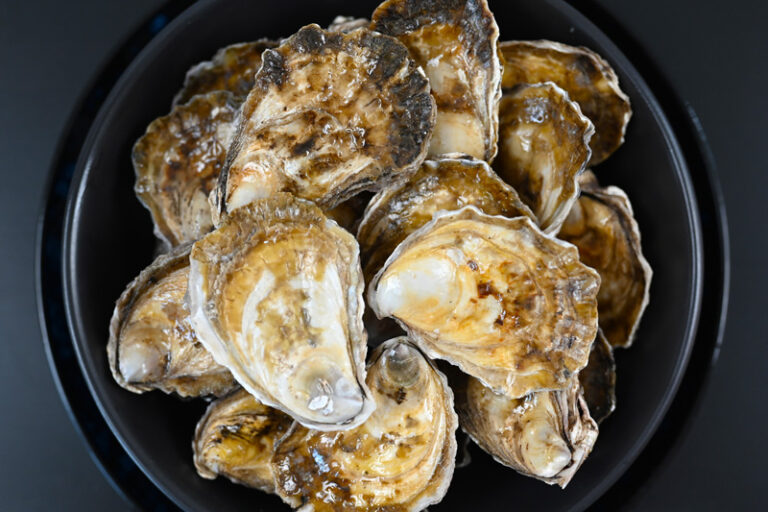 Medium Organic Wild Caught Sydney Rock Oysters Whittens Organic